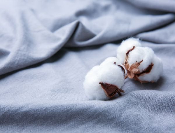 cotton fabric